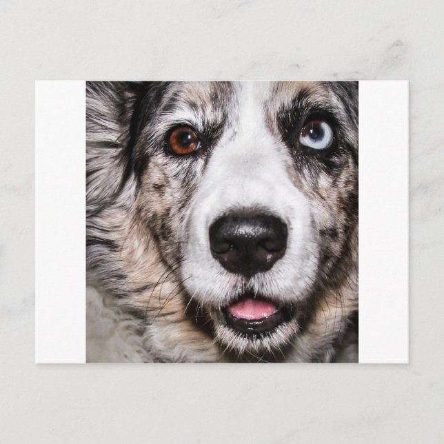 Postal Maggie (Anverso)