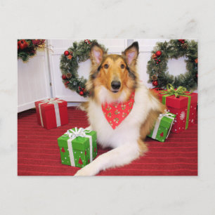 Postal Maggie - Collie - Donohoo