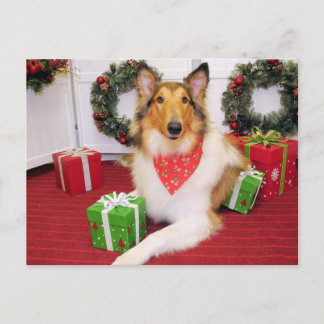 Postal Maggie - Collie - Donohoo