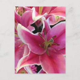 Postal Magia de flor rosa