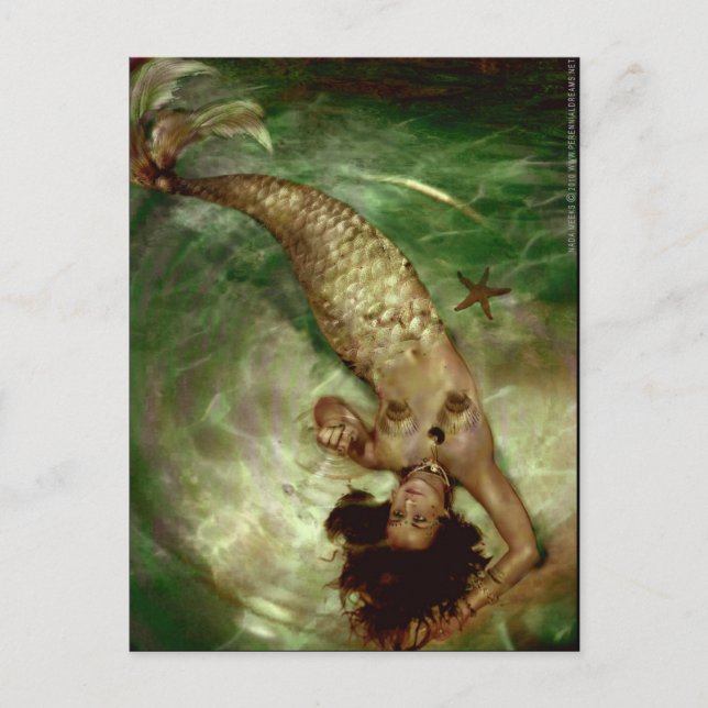 Postal Magia de la ondulación (Anverso)