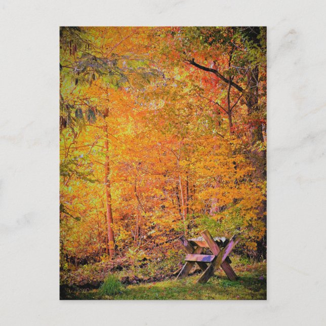 Postal Magia otoñal (Anverso)