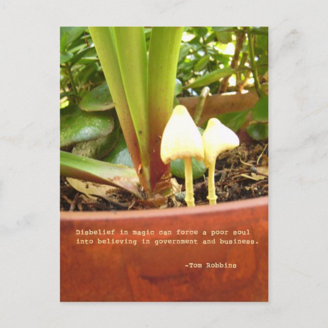 Postal mágica (Anverso)