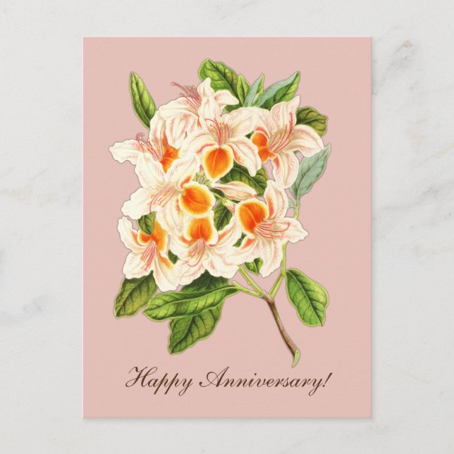 Postal Magnífica azalea, aniversario (Anverso)