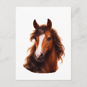 Postal Magnífico caballo marrón con estrella blanca