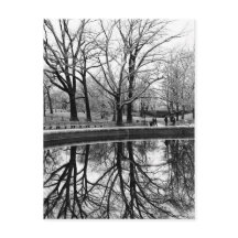 Magnífico paisaje invernal en Central Park
