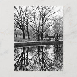 Postal Magnífico paisaje invernal en Central Park