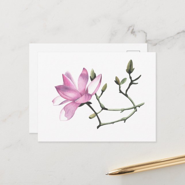 Postal Magnolia (Anverso/Reverso In Situ)