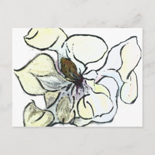 Postal Magnolia