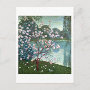 Postal Magnolia (aceite sobre lienzo)