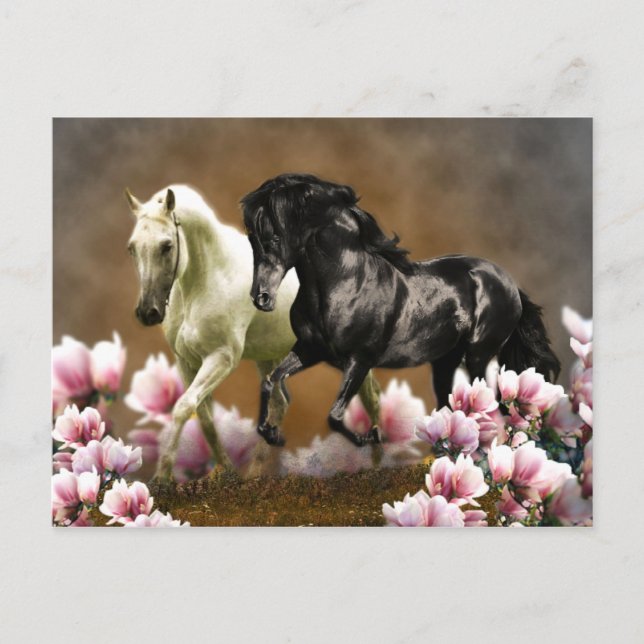 Postal Magnolia Alley - Postcard (Anverso)