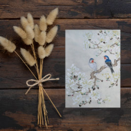 Postal Magnolia blanca