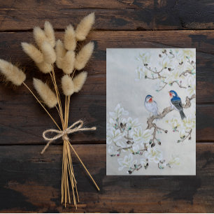 Postal Magnolia blanca