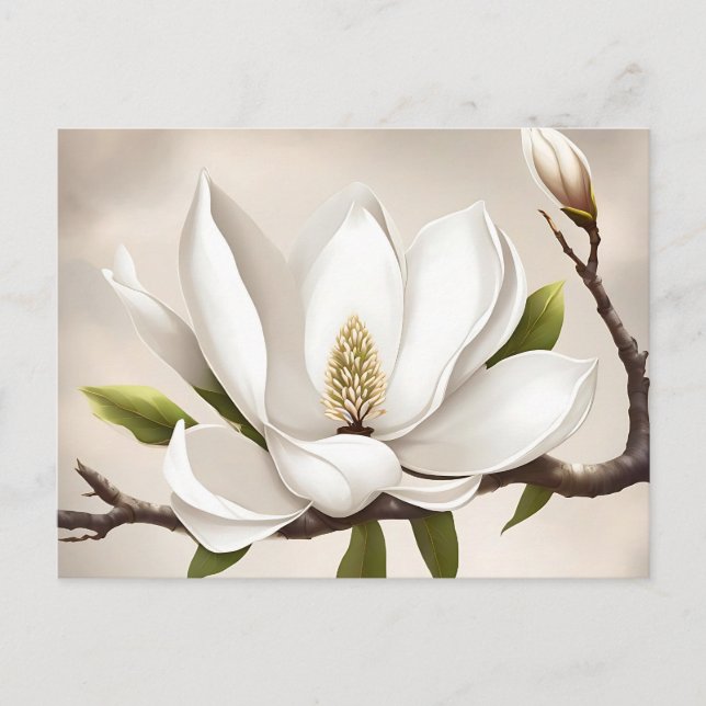 Postal Magnolia blanca botánica (Anverso)