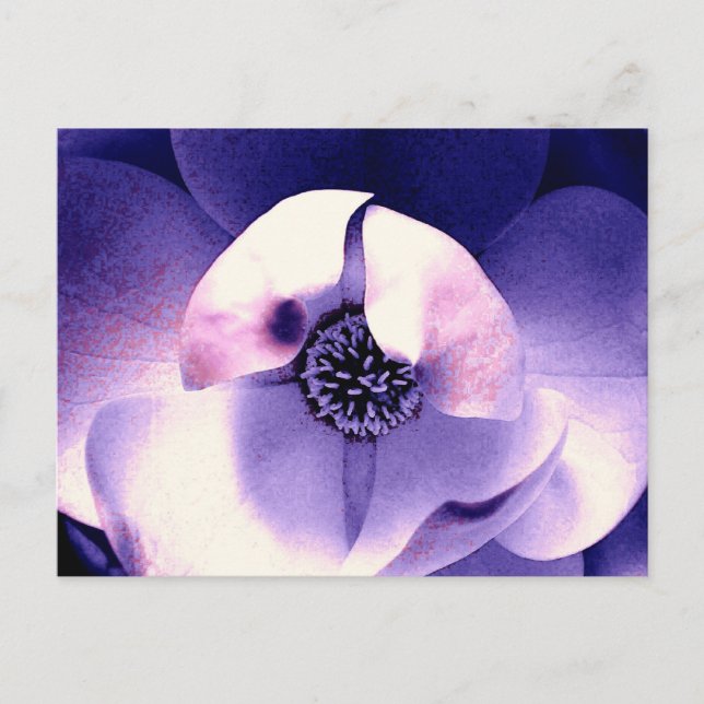 Postal Magnolia Blossom (Anverso)