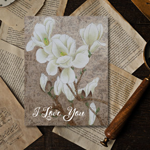 Postal Magnolia Blossom