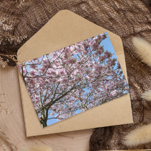 Postal Magnolia en abril