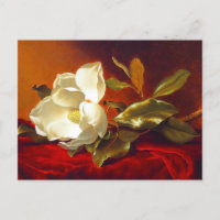 Magnolia en Terciopelo Rojo Martin Johnson Heade