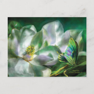 Postal Magnolia Postcard