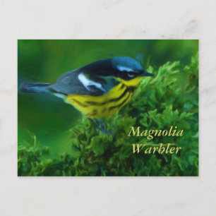 Postal Magnolia Warbler Post Card