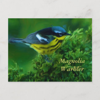 Postal Magnolia Warbler Post Card