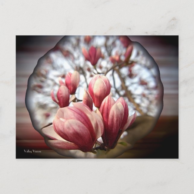 Postal Magnolia Wood (Anverso)
