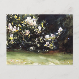 Postal Magnolias de John Singer Sargent