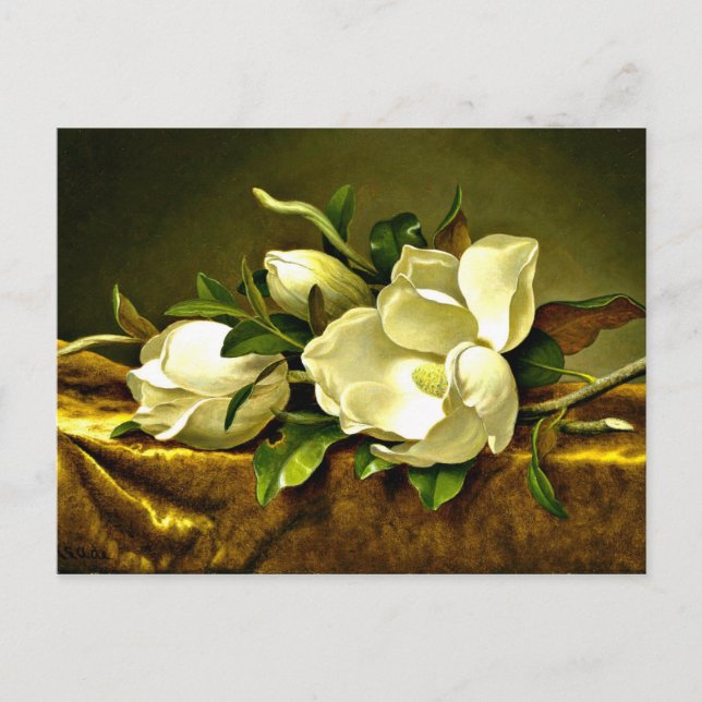 Postal Magnolias sobre tela de terciopelo dorado, pintura (Anverso)