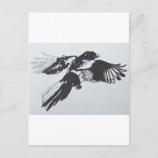 Postal Magpie