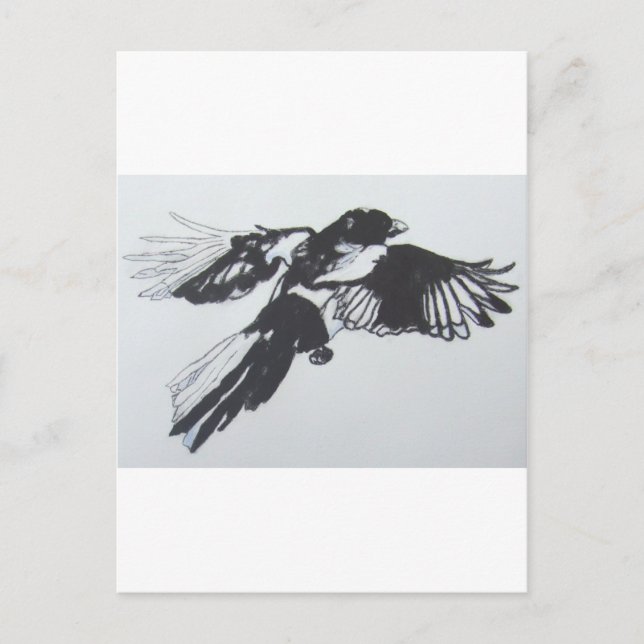 Postal Magpie (Anverso)