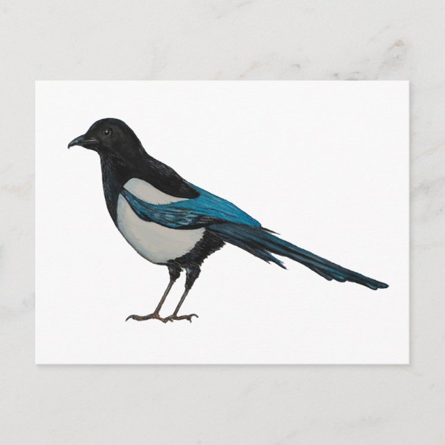 Postal Magpie (Anverso)