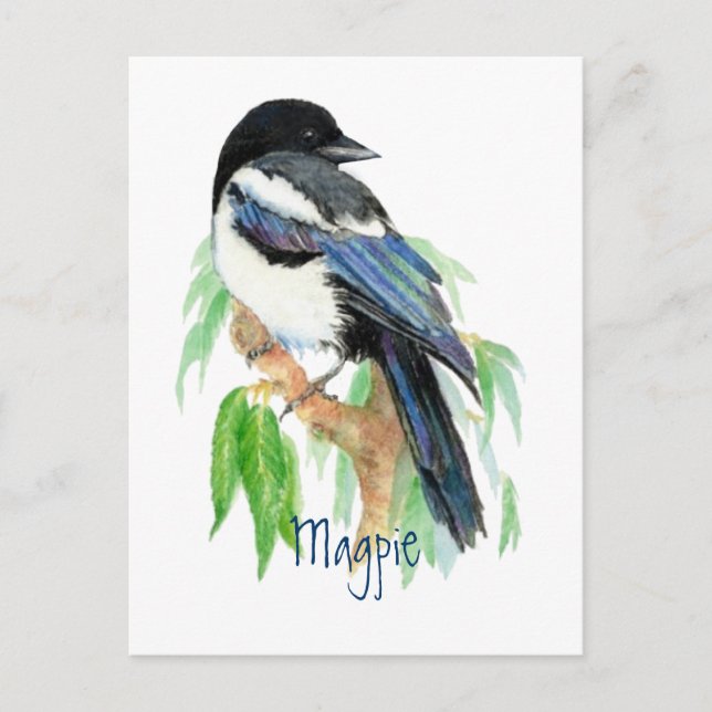 Postal Magpie, pájaro, jardín, naturaleza, vida silvestre (Anverso)