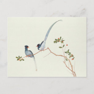 Postal Magpies azules de la cama roja, una rama de bayas