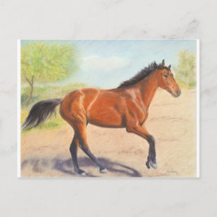 Postal Mahogany Bay Horse Pastel