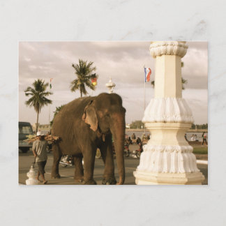 Postal Mahout y los elefantes
