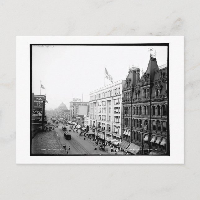 Postal Main Street, Buffalo, New York Vintage (Anverso)