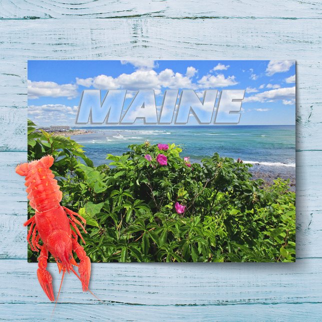 Postal Maine (Subido por el creador)