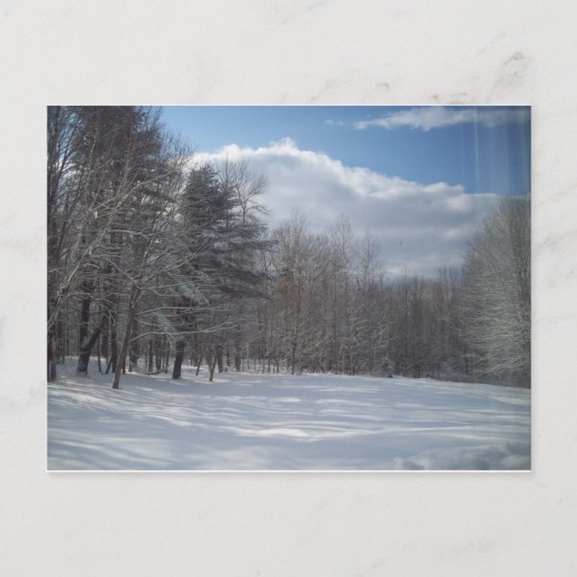 Postal Maine (Anverso)