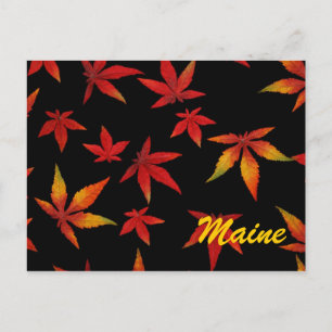 Postal Maine Autumn Leaves Postcard