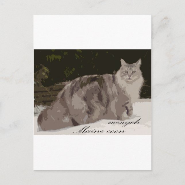 Postal maine coon (Anverso)
