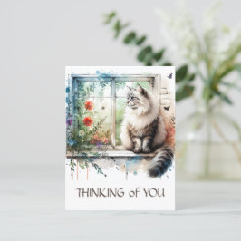 Postal Maine Coon Cat en la ventana con flores de verano