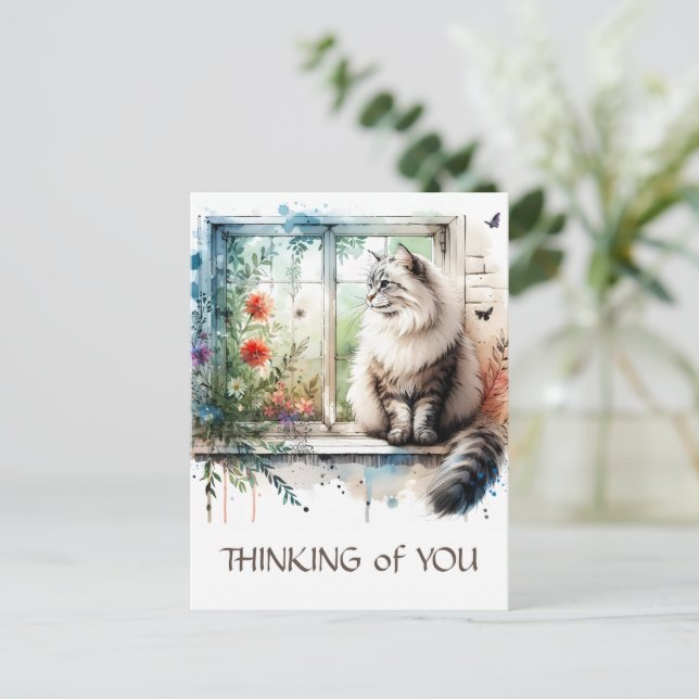 Postal Maine Coon Cat en la ventana con flores de verano (Anverso de pie)