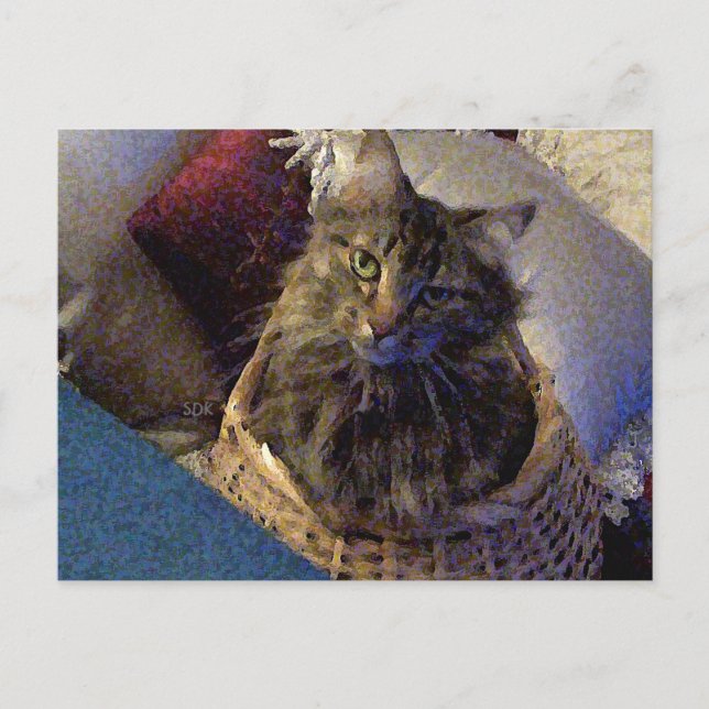 Postal Maine Coon Tabby Cat (Anverso)