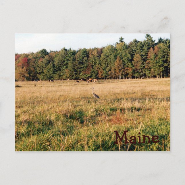 Postal Maine Countryside (Anverso)