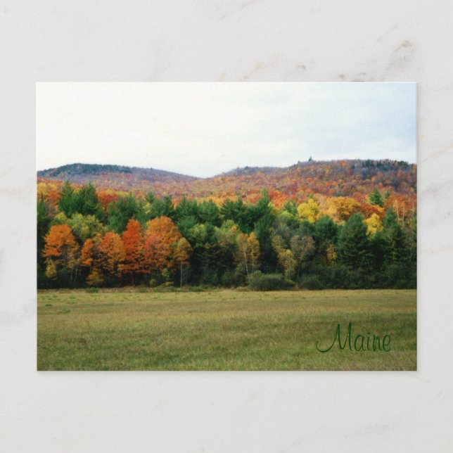 Postal Maine Foliage (Anverso)