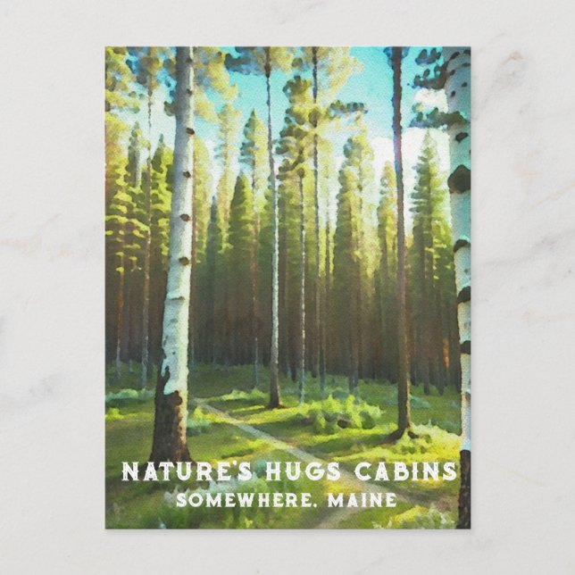 Postal *~* Maine Forest Birch Evergreens AP49 (Anverso)