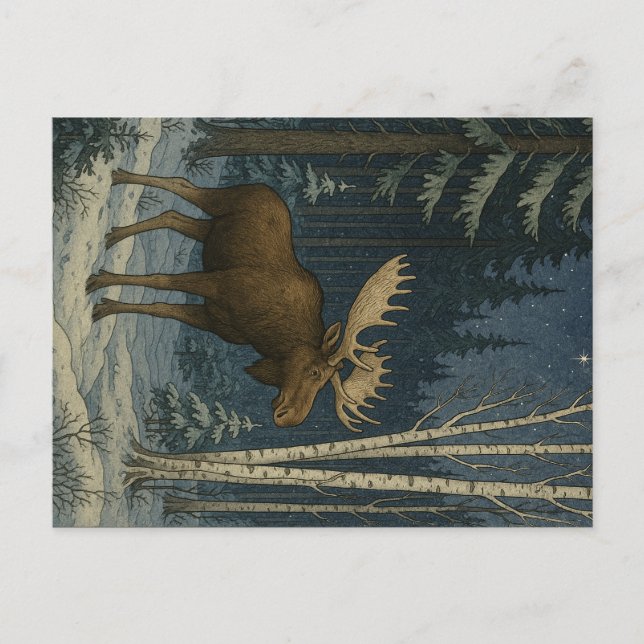 Postal Maine Moose en la nieve de invierno (Anverso)