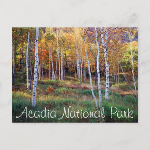 Postal Maine, Parque Nacional Acadia, Otoño