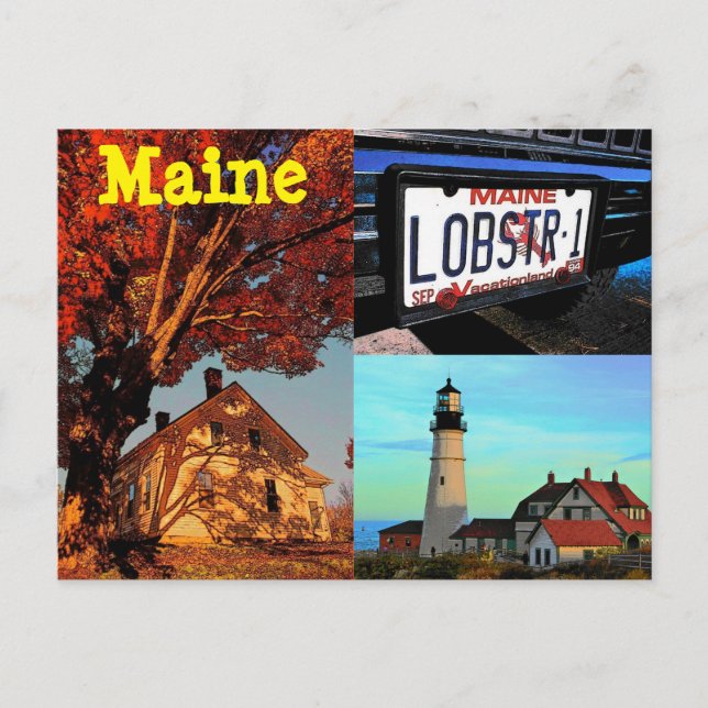 Postal Maine Postcard (Anverso)