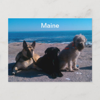 Postal Maine Vacation